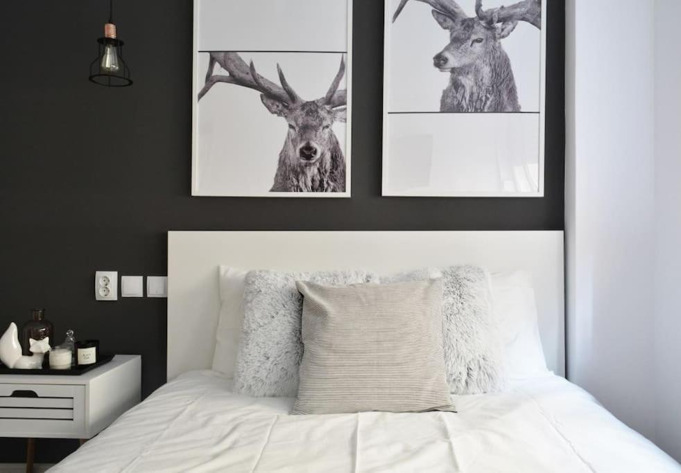 부쿠레슈티 2 Bdr / Cozy Ap Near Old Town 아파트 외부 사진